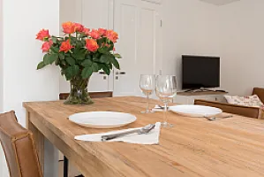 Dining Table with the View of Tlevision Artis Plantage apartment Amsterdam