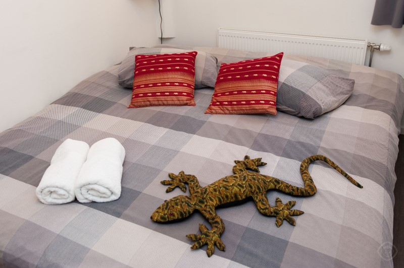 Double Bed Other Angle Thailand apartment Amsterdam