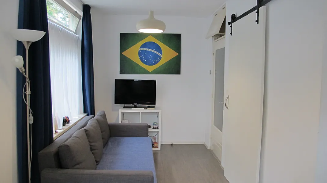 Living area with television Brazil apartment Amsterdam